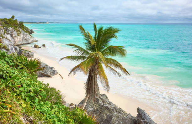 istock Tropical beach of Tulum, Yucatan Peninsula, Mexico. 1460345132