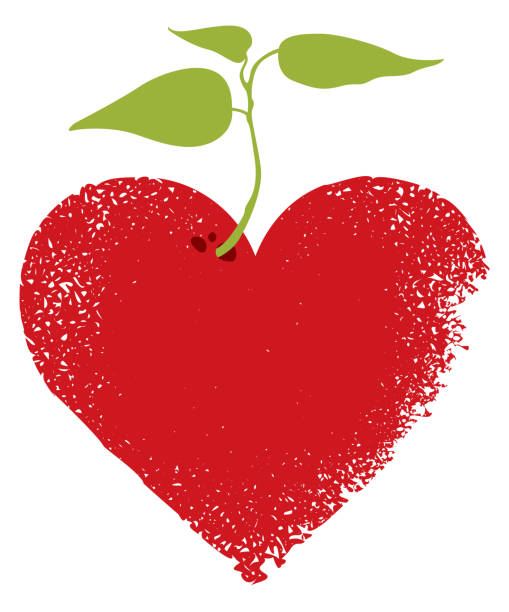 illustrazioni stock, clip art, cartoni animati e icone di tendenza di segno cuore rosso e germogliare con le foglie - pain heart attack heart shape healthcare and medicine