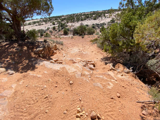 istock Rocky road in Utah 1460357685
