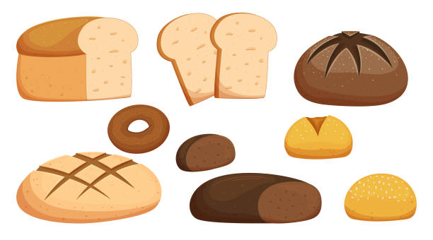 ilustraciones, imágenes clip art, dibujos animados e iconos de stock de set de pan y diferente producción de panadería. tostadas aisladas, pan, bollo con sésamo o colección de pasteles de rosquilla de centeno - pretzel sesame vector snack