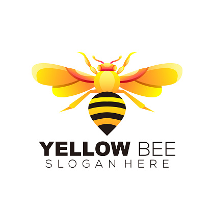 yellow bee design art illustration icon business