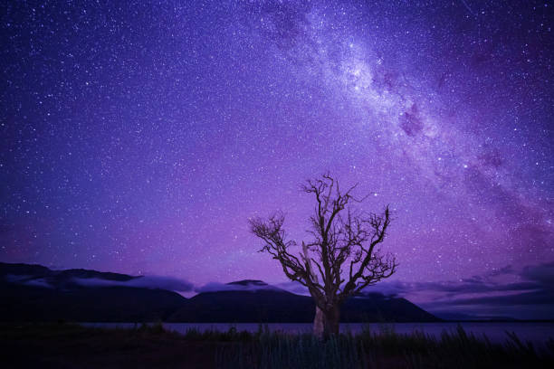 Milky Way Galaxy at Lake Ohau.
