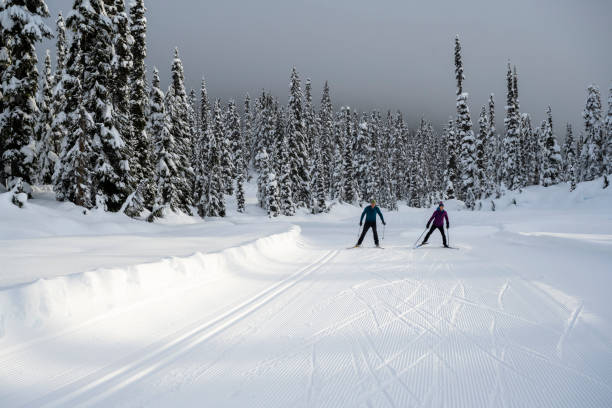istock Couple crosscountry skiing 1460390214