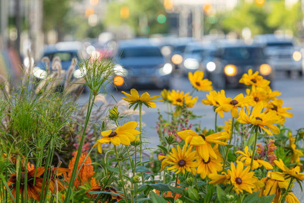 istock Traffic behind a bunch of flowers - Abstract 1460396420