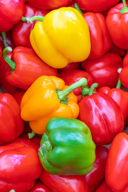 istock Pile of Organic Fresh Bell Peppers on display 1460401344