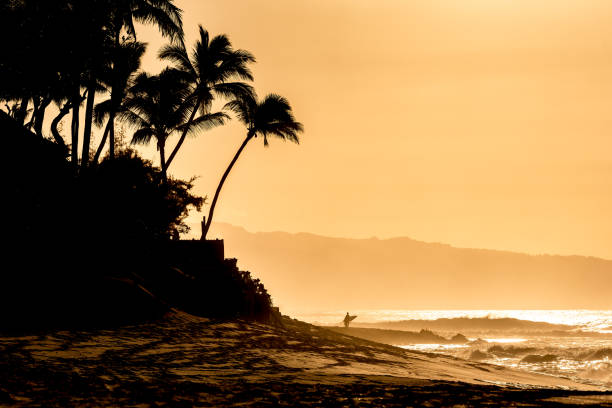 silueta de un surfista caminando en la distancia en sunset beach, hawái - north shore hawaii islands oahu island fotografías e imágenes de stock
