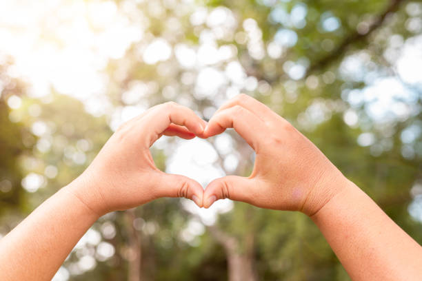 istock Two hands intertwined in a heart shape, nature background. 1460418442