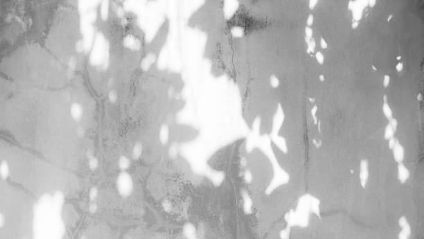 istock Shadow Ground Grey Background,Texture Overlay Leave Plant Nature Vintage on Cement Floor House Construction White Sun Light on Wall Room Retro Gray Black Color Paint Architecture Wallpaper Concrtete. 1460422408