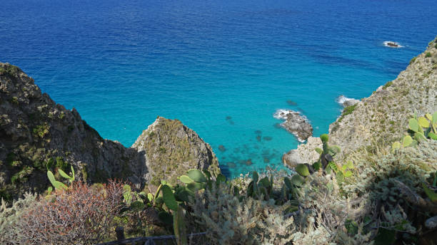 istock Beautiful Capo Vaticano coastline with beaches, cliffs with wild cactus and turquoise water, travel holiday concept, Calabria, Italy 1460424305