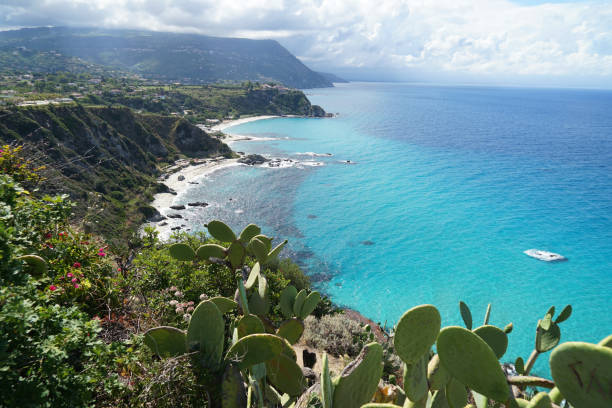 istock Beautiful Capo Vaticano coastline with beaches, cliffs with wild cactus and turquoise water, travel holiday concept, Calabria, Italy 1460424307