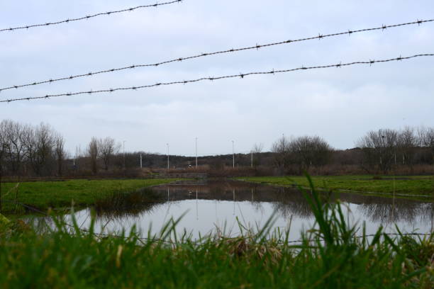 istock Blankenberge protected nature reserve 1460427287
