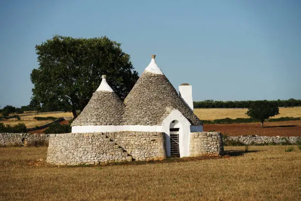Trulli white stone hut with conical roof on countryside field, famous in Apulia region, Italy