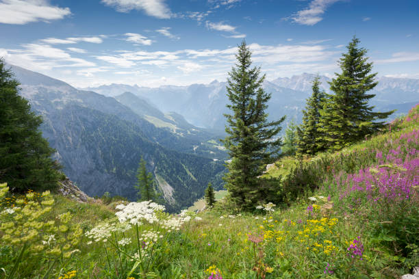 istock Views of the Bavarian Alps 1460431687