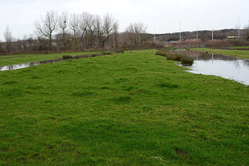 Blankenberge, West-Flanders,, Belgium - January 28, 2023: public park in Winter flooded lawns