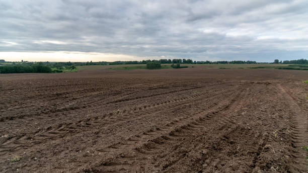 istock plowed cereal fields in autumn, on the horizon forest line, gray clouds in the sky. 1460442609