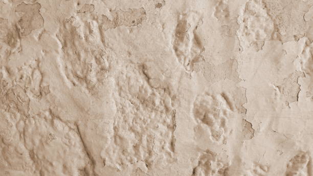 istock Sepia Shabby Plaster Wall. Seamless Cement wall Abstract for background or Pattern. Horizontal Photo 1460442765