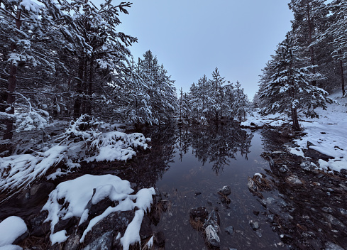 Large panorama of a heavy snowy field with a line of trees