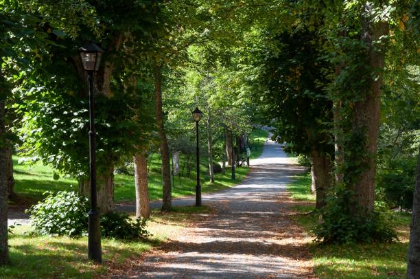 istock Beautiful park with a pathway surrounded by green trees 1460446882