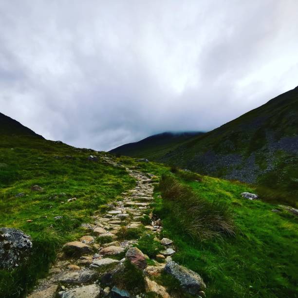 istock Narrow stone path in a mountains on a foggy day 1460446930