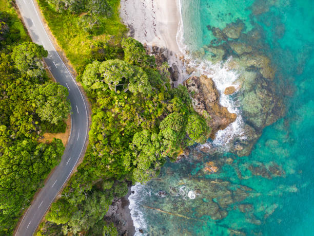 istock Amazing nature view with road passing along sea. 1460447786