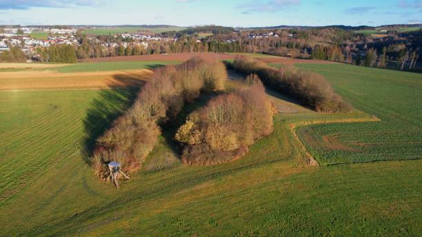 istock Drone shot over green fields with autumn trees at countryside on a sunny day 1460448029