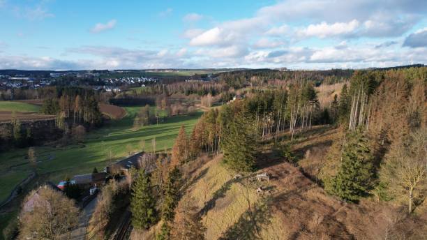 istock Drone shot over green fields with autumn trees at countryside on a sunny day 1460448037