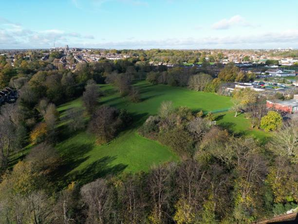 istock Drone shot over green fields with autumn trees at countryside on a sunny day 1460448045