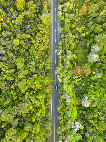 Aerial top view of a road with mode of transport on it in between of a forest.