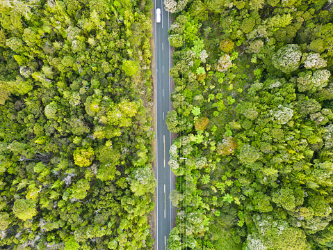 Aerial top view of a road with mode of transport on it in between of a forest.