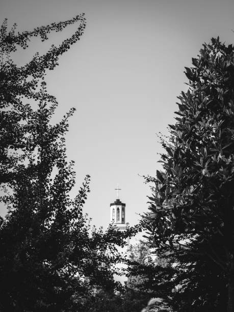 istock Vertical grayscale of a church with trees in the foreground 1460451913