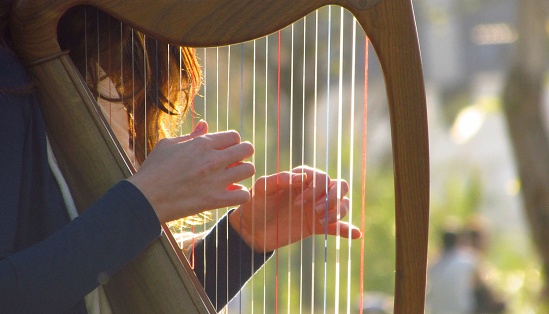 Closeup of the hands of a woman playing harp in the park
