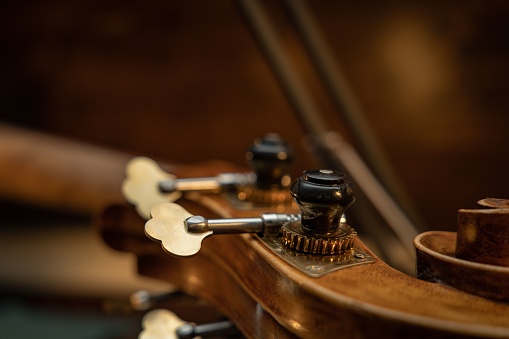 A selective focus of the violin pegs - perfect for backgrounds