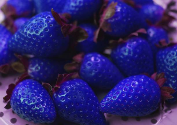 A selective focus shot of blue strawberries on a pink background
