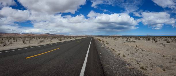 istock Empty road in the middle of a desert with clouds in the sky 1460458985