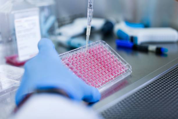 istock Closeup of a doctor's hand taking blood samples with a syringe 1460460040