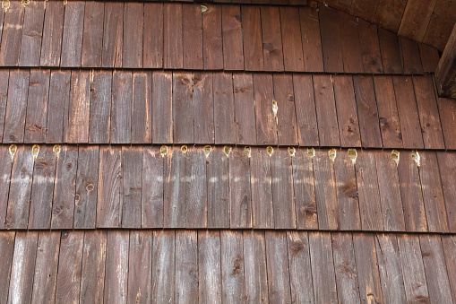 Brown wooden facade of the house full of holes made by woodpecker. Texture image