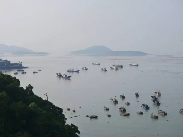 A closeup shot of some boats passing through the seaweed farm at a shoal in Xiapu, Fujian, China