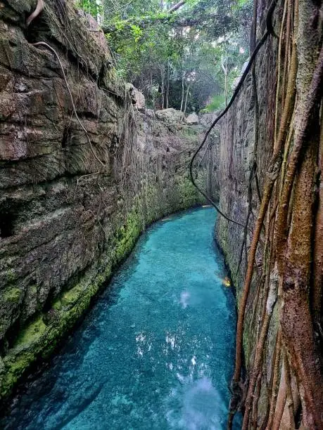 A vertical of a narrow blue river flowing between large rocks covered with trees in Xcaret, Mexico