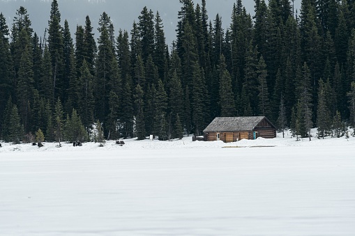 A wooden hut in the middle of the snow covered field with tall trees on the background in winter