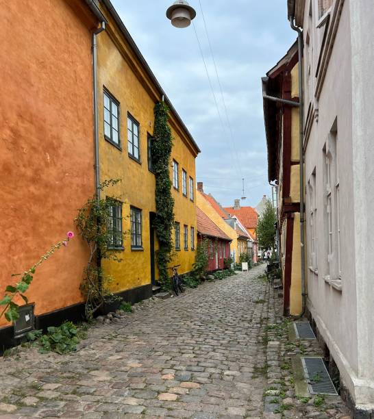 istock Empty street with colored buildings 1460463987