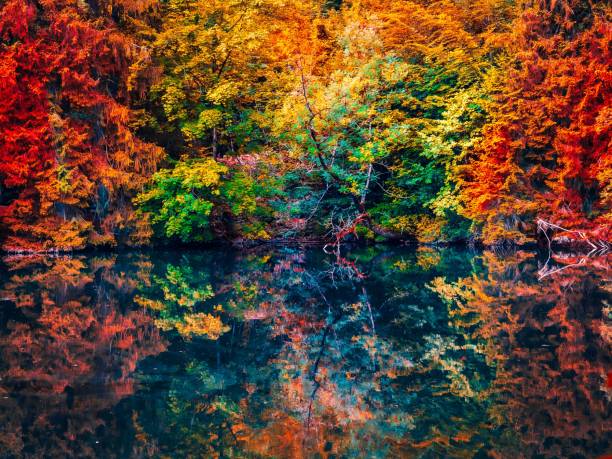 istock Scenic lake with reflections in autumn 1460465116