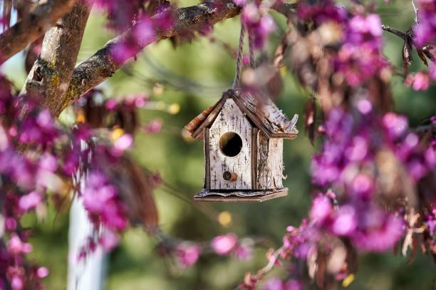 bonito comedero para pájaros que cuelgan de las ramas de un árbol entre flores púrpuras - birdhouse bird house ornamental garden fotografías e imágenes de stock