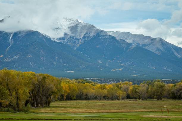 istock Beautiful mystery meadow surrounded trees with mountains in the background 1460465827