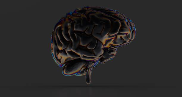 istock 3D illustration of a human's brain isolated on the black background 1460466219