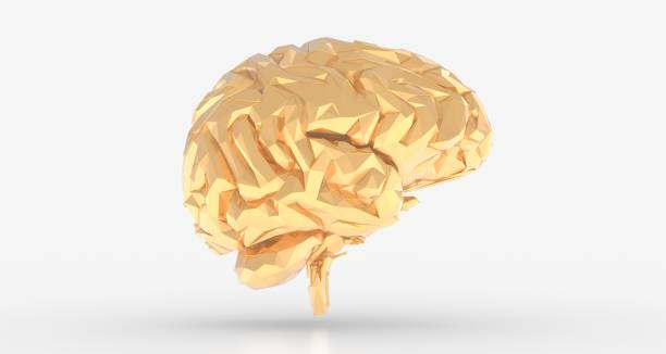 istock 3D illustration of a human's brain isolated on the white background 1460466246