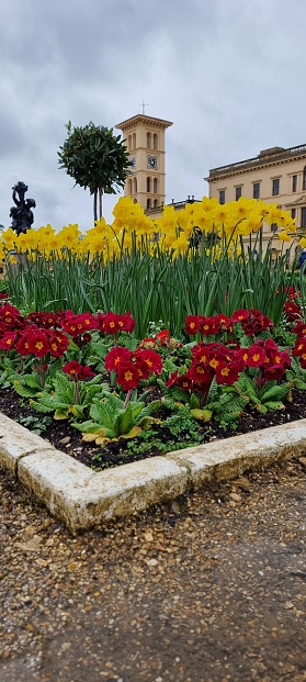 A vertical shot of the yellow and red flowers in the park