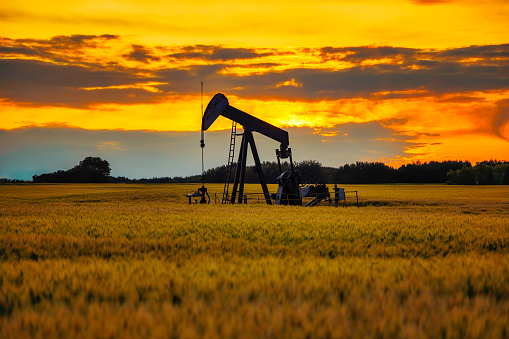 An oil pump jack extracting crude oil from an oil well in a wheat field with a beautiful sunset sky