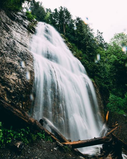 istock Vertical long exposure of a waterfall flowing down the cliff into a river in a nature park 1460470026