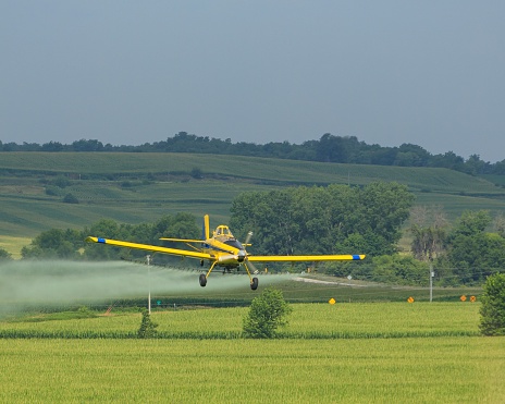 A yellow crop duster flying low while spraying a field