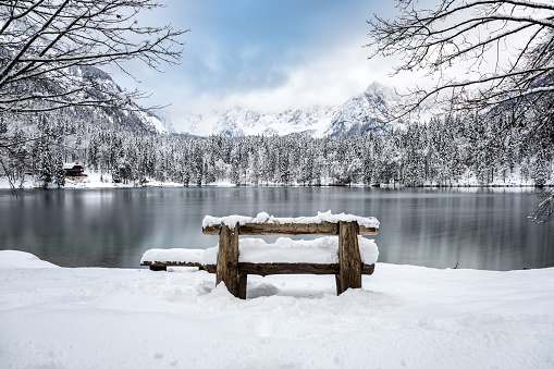 A beautiful shot of bench near a river surrounded by a forest covered in snow